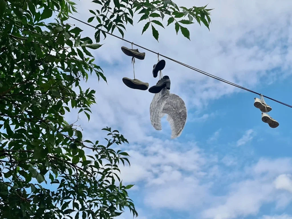 Cover image of the photo gallery for 'Abandoned dreams,' showing wings hanging from electricity cables, along with several pairs of shoes also suspended from the wires.