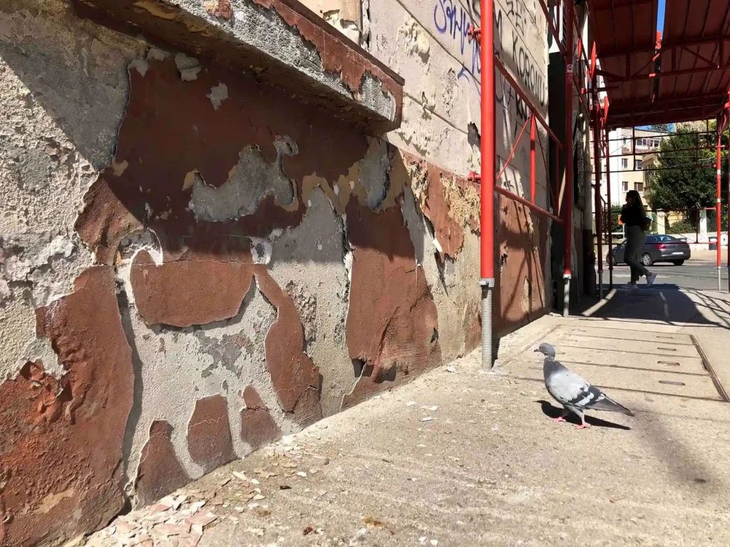 Close-up image of a cat silhouette created by peeling paint on a collapsing wall, with the sidewalk, passing cars, pedestrians, and a pigeon nearby.