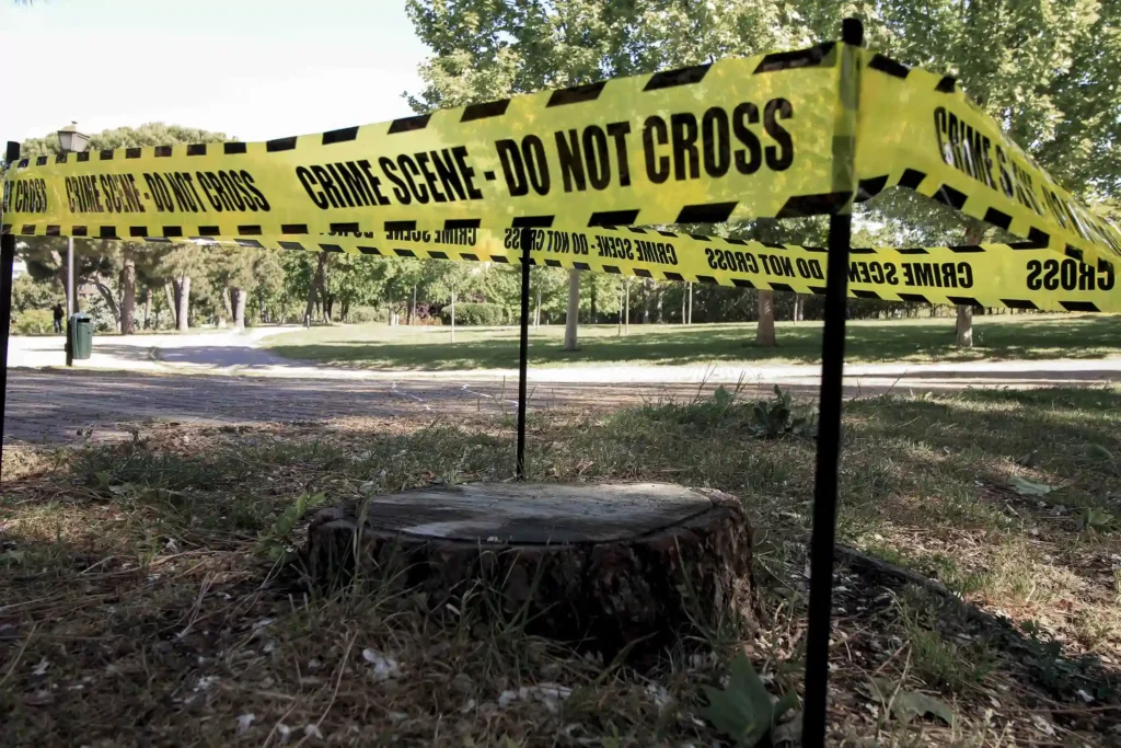 Cover image of the photo gallery for 'It’s Equal,' depicting a felled tree trunk viewed from a low angle, encircled by police tape that reads 'Crime scene, do not cross,' against a clear sky and bright sun.