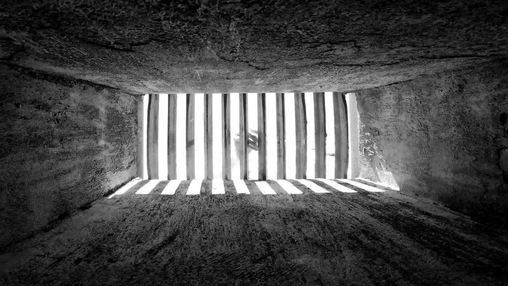 Cover image of the photo gallery for 'Human nature,' showing the view from inside a sewer looking out toward the entrance.