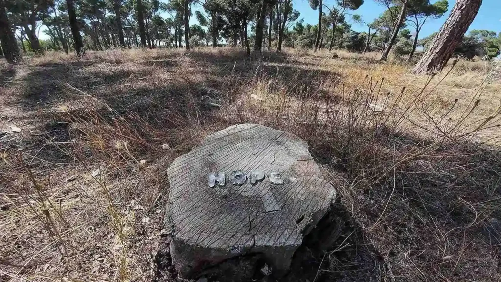 Image of a dry forest with a felled tree trunk featuring the word 'HOPE' made of ice that is melting over time.