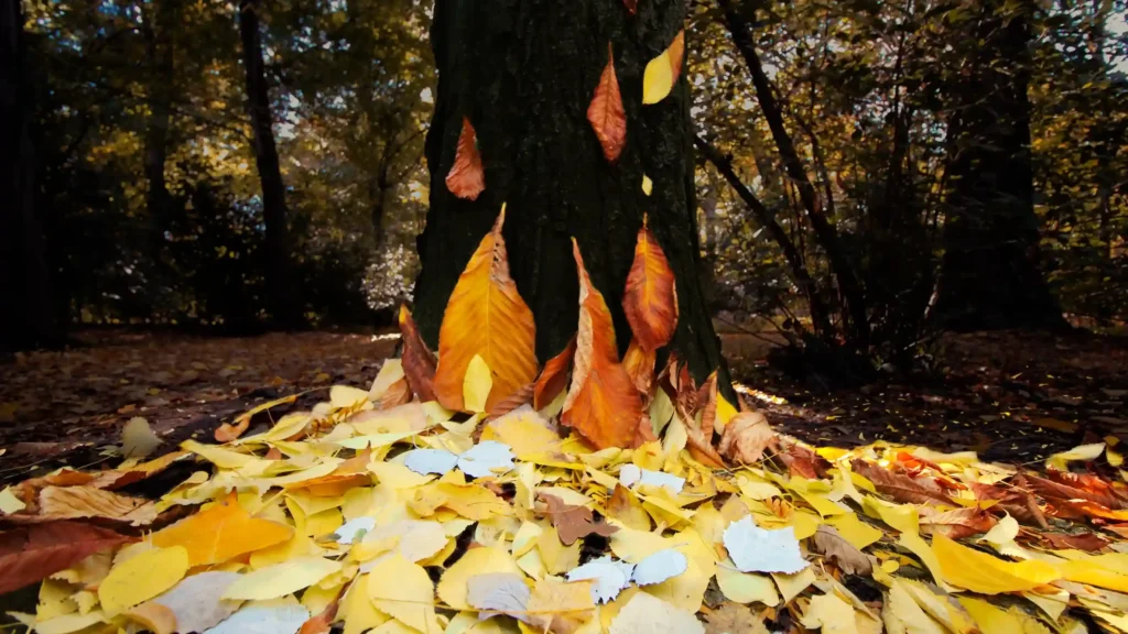 It shows colorful leaves from trees on the ground grouped together to look like flames of fire, representing forest fires.