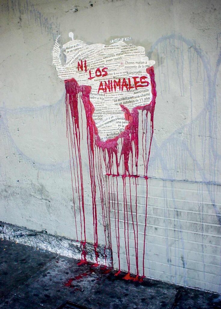 Image of the silhouette of the map of Venezuela pasted on a street wall, created with newspaper clippings that mention the murders and insecurity in Venezuela, with the words "not even the animals" written in red in the middle of the map.