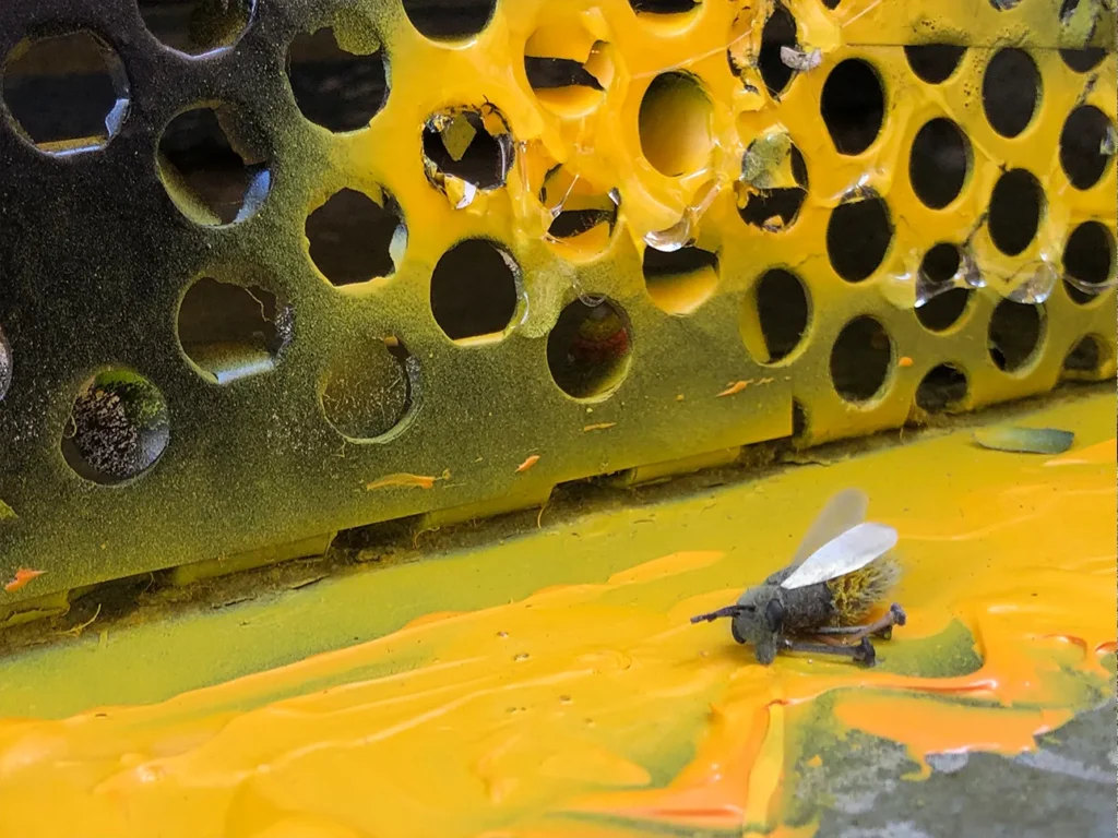 Craft bee made of natural materials on a splash of yellow honey-like paint.