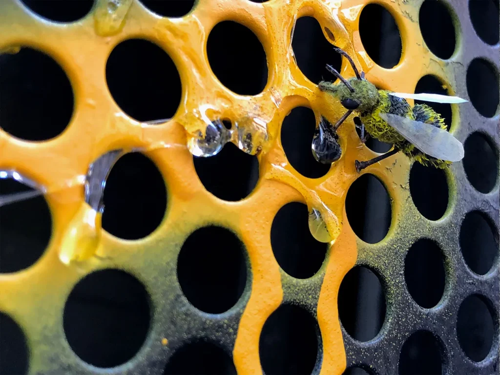 Handmade bee figure made from leaves and twigs on a window screen simulating a honeycomb