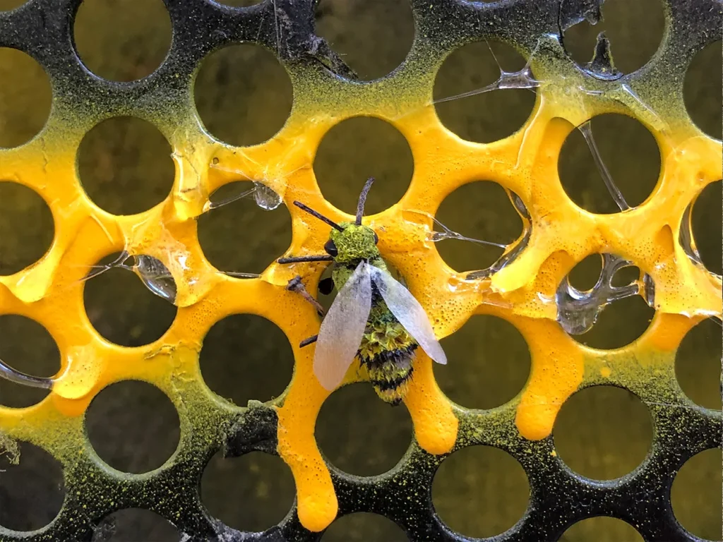 Handmade bee figure made from leaves and twigs on a window screen simulating a honeycomb